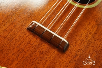 HM-C20 Concert -TR10th Anniversary Model- #361